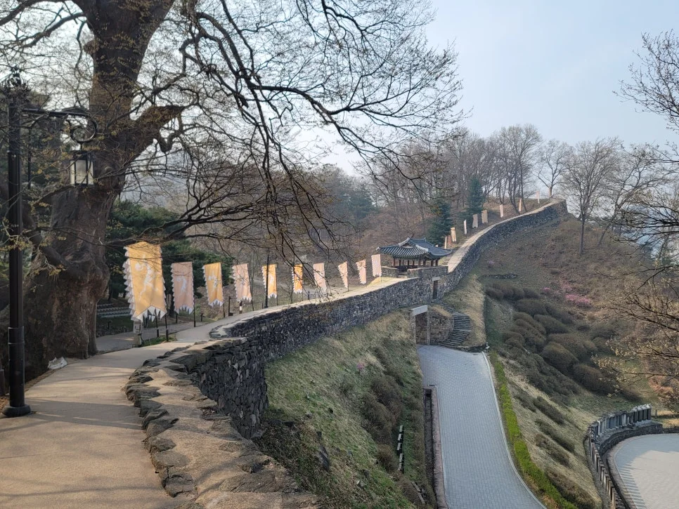 20250404%EF%BC%BF090501.jpg?type=w966