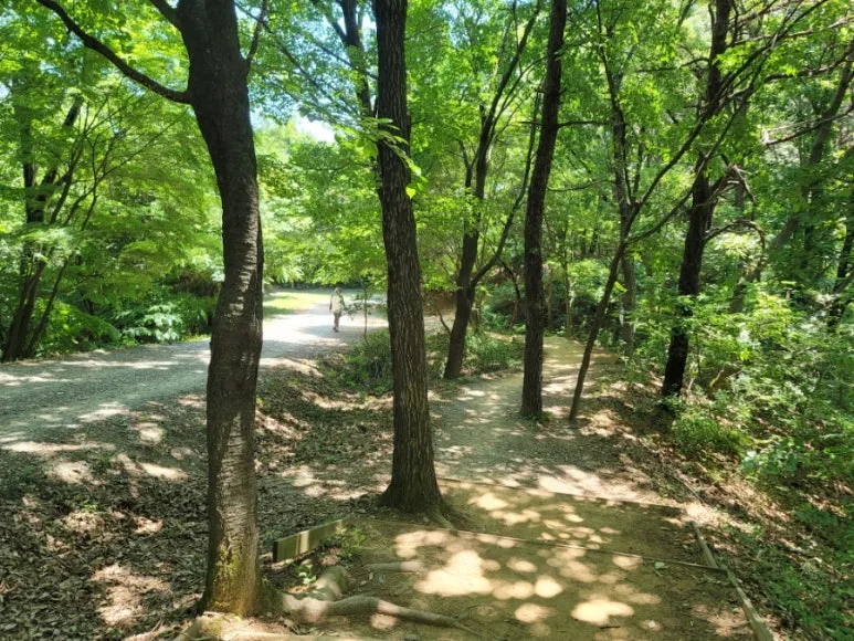 20240602%EF%BC%BF112823.jpg?type=w773