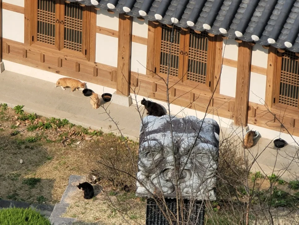 20250404%EF%BC%BF090443.jpg?type=w966