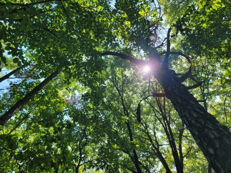 20240602%EF%BC%BF111237.jpg?type=w773