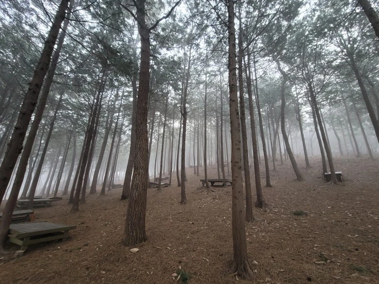 20240316_070835.jpg?type=w773