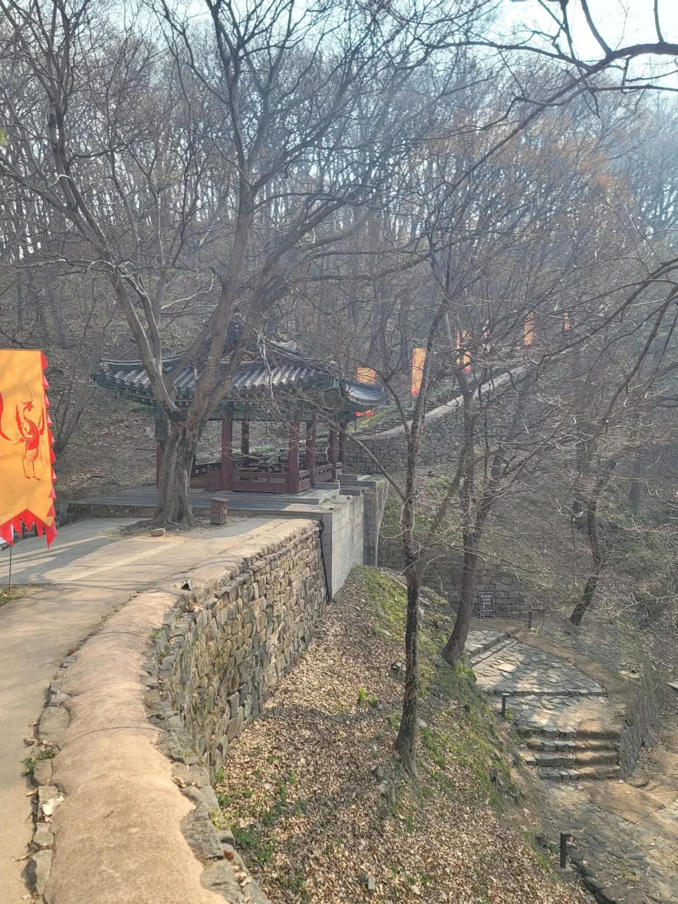 20250404%EF%BC%BF092202.jpg?type=w966