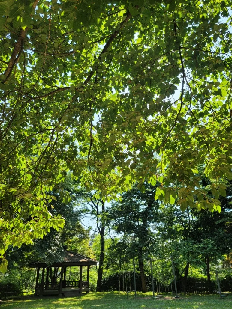 20240531%EF%BC%BF153752.jpg?type=w773