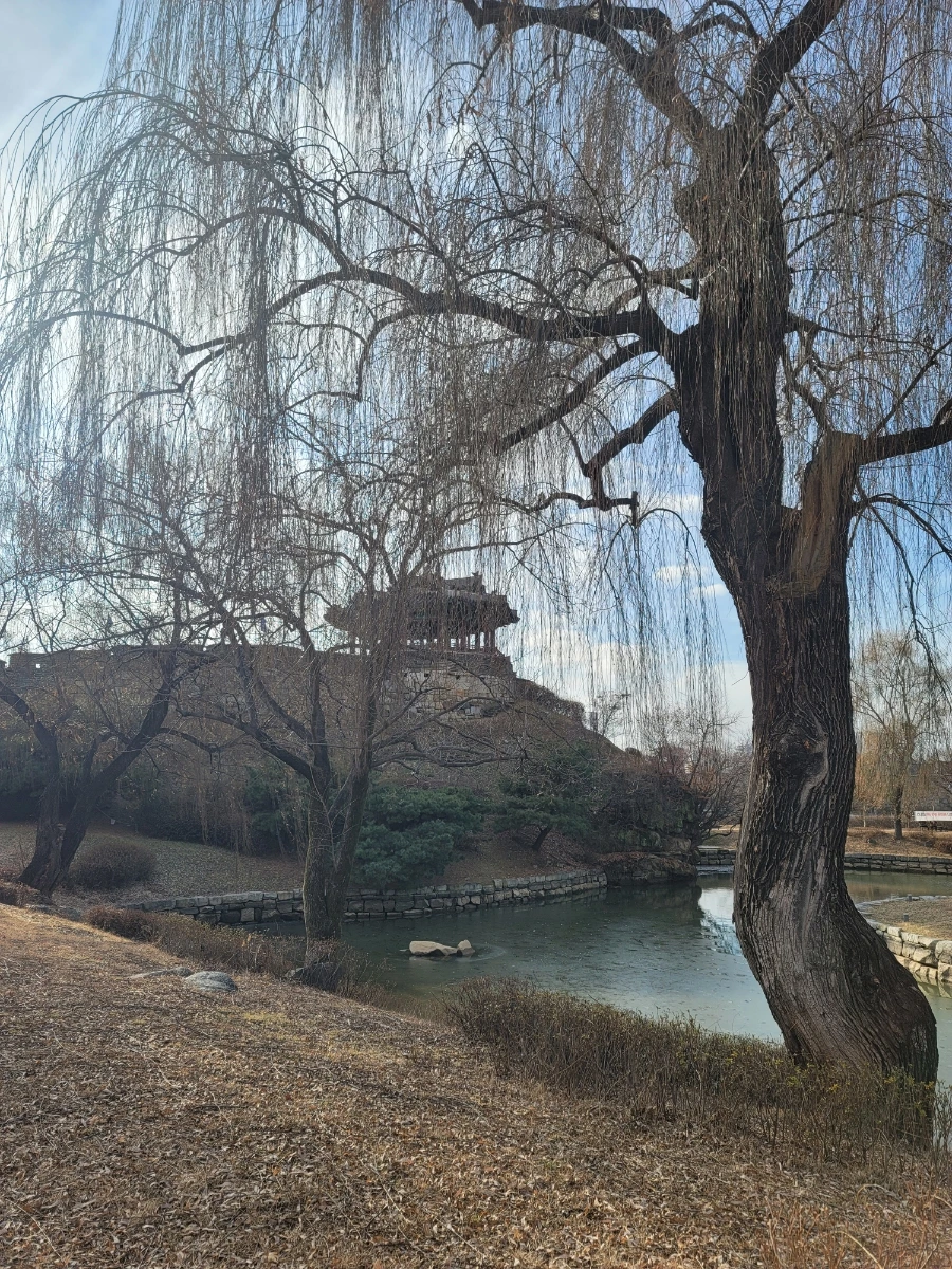 20240119%EF%BC%BF150808.jpg?type=w1