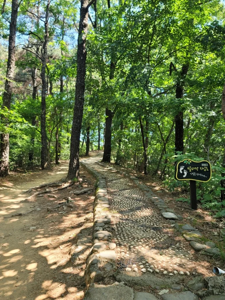 20240602%EF%BC%BF105912.jpg?type=w773