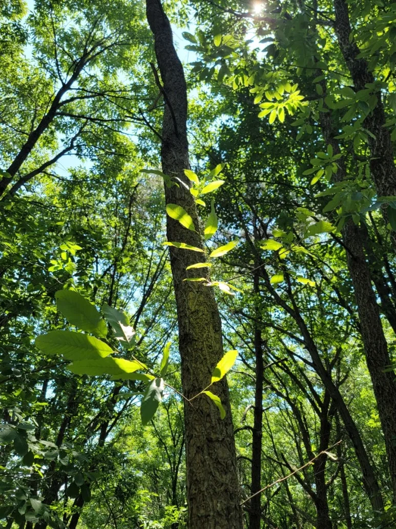 20240602%EF%BC%BF110831.jpg?type=w773