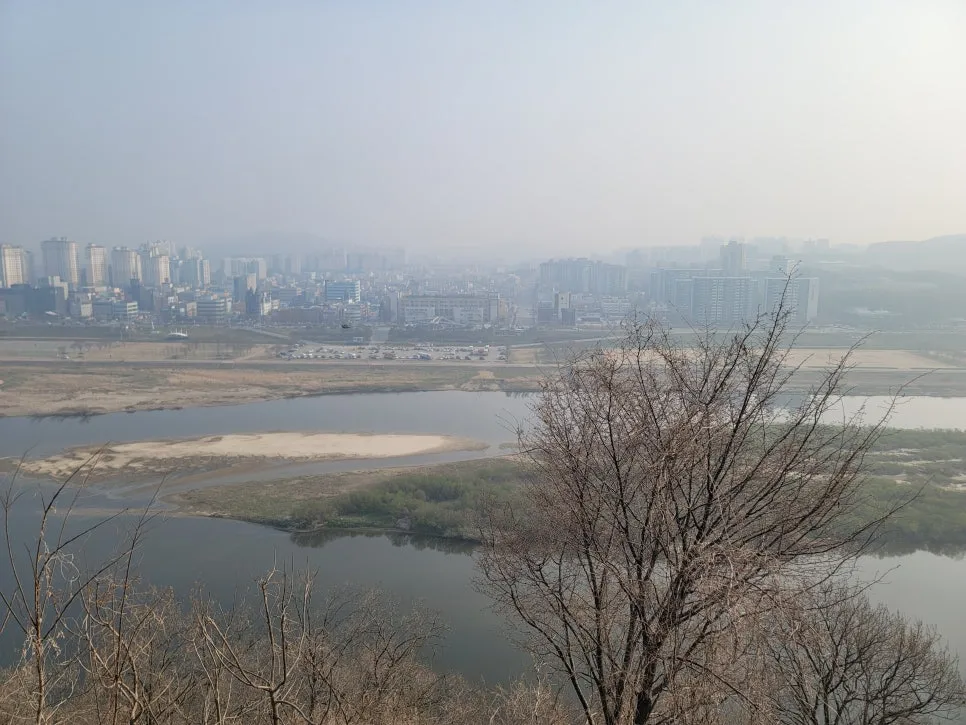 20250404%EF%BC%BF083330.jpg?type=w966