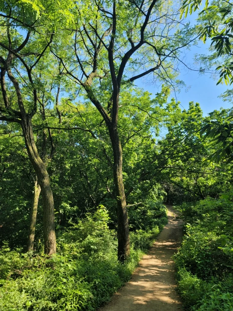 20240531%EF%BC%BF160806.jpg?type=w773