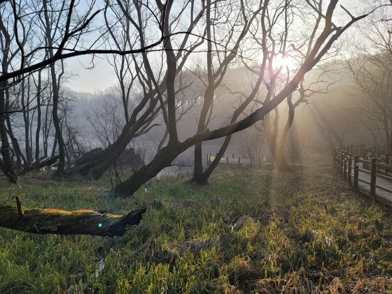 20240316_075713.jpg?type=w773