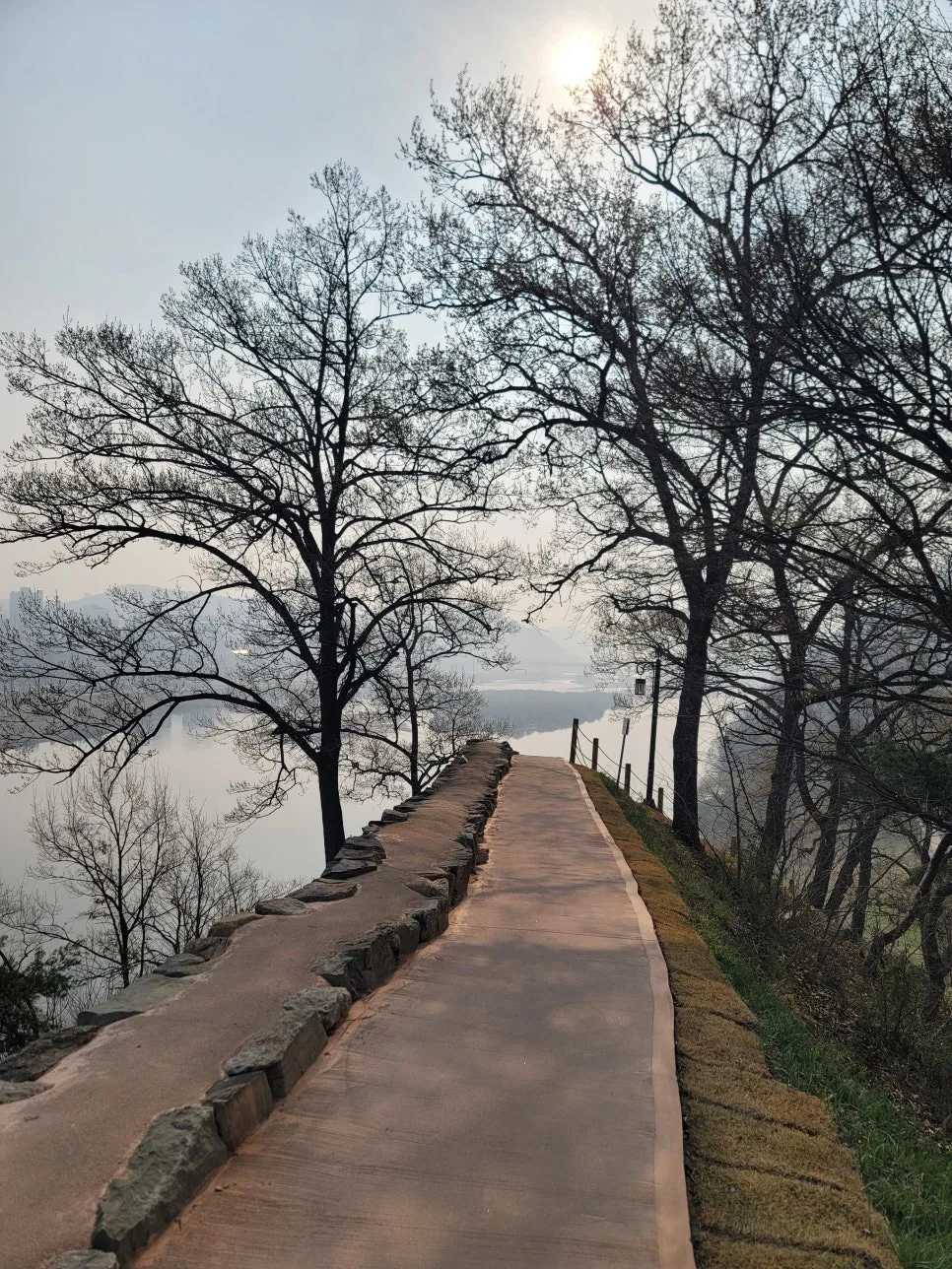 20250404%EF%BC%BF085518.jpg?type=w966