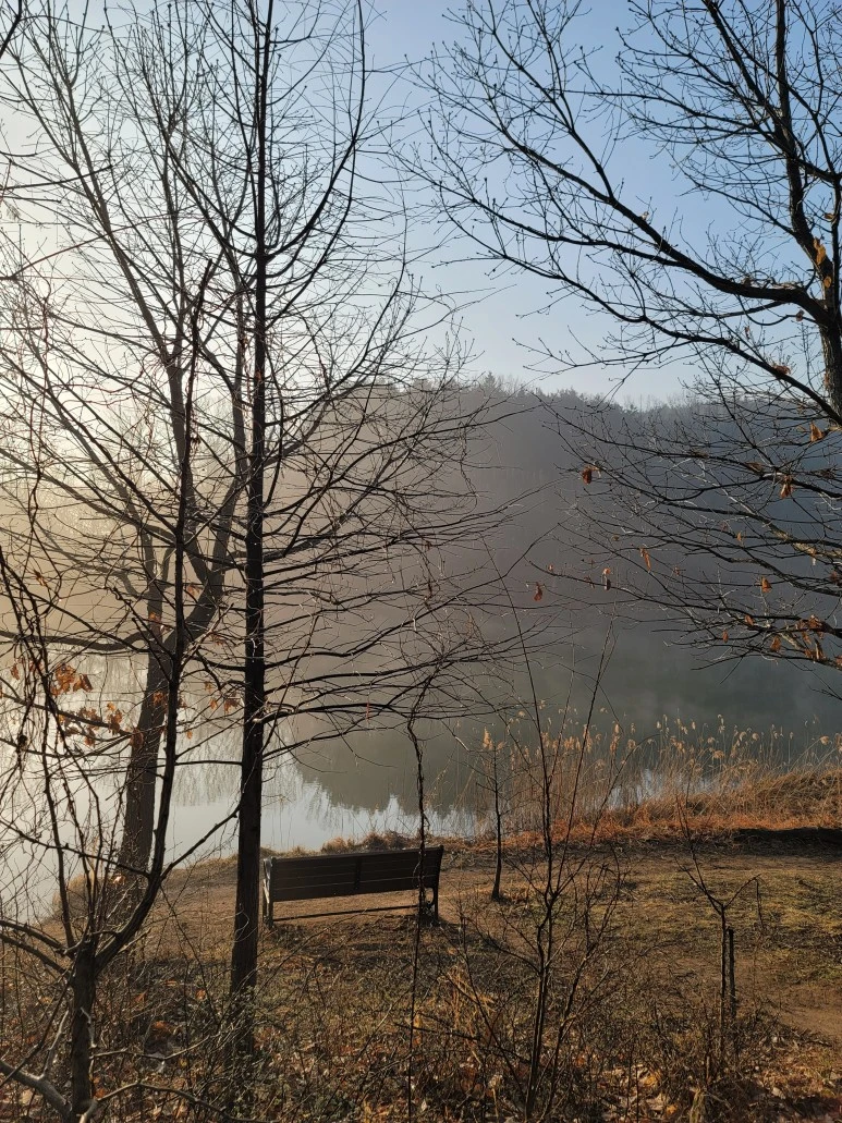 20240316_075453.jpg?type=w773