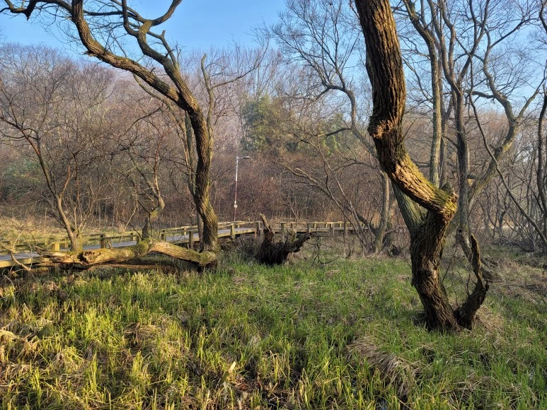 20240316_075804.jpg?type=w773