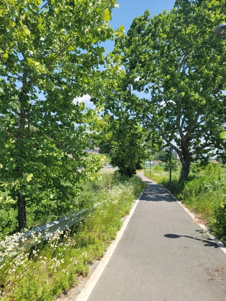 20240602%EF%BC%BF130312.jpg?type=w773