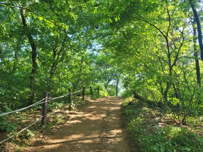 20240531%EF%BC%BF162616.jpg?type=w773