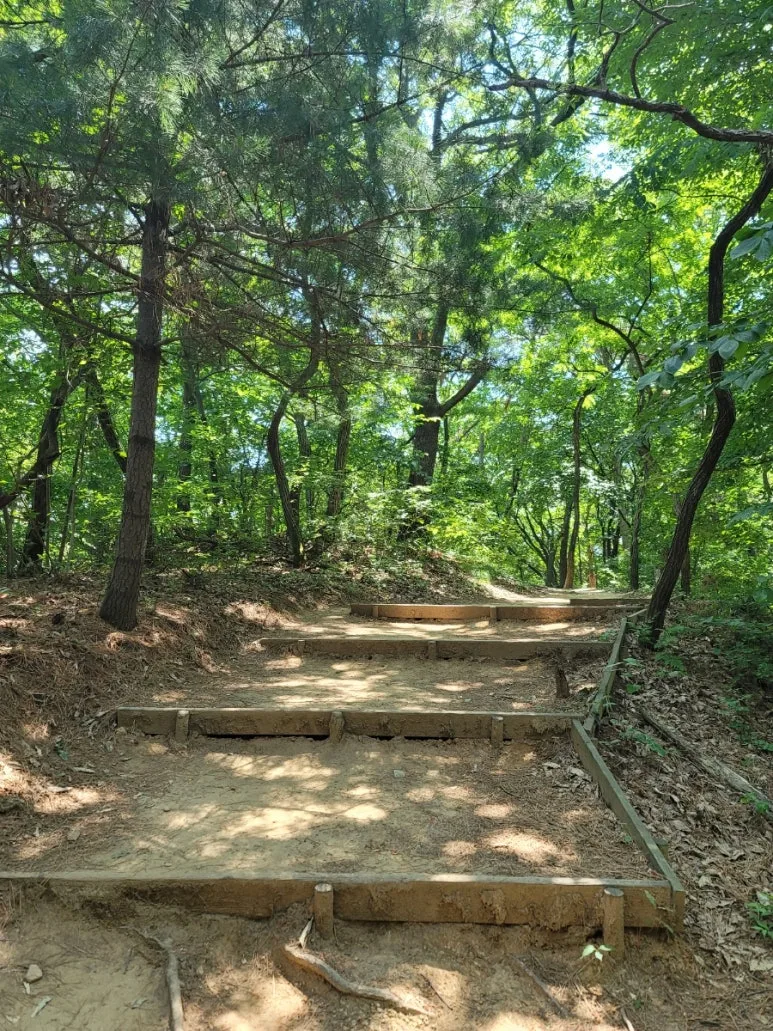 20240602%EF%BC%BF113055.jpg?type=w773