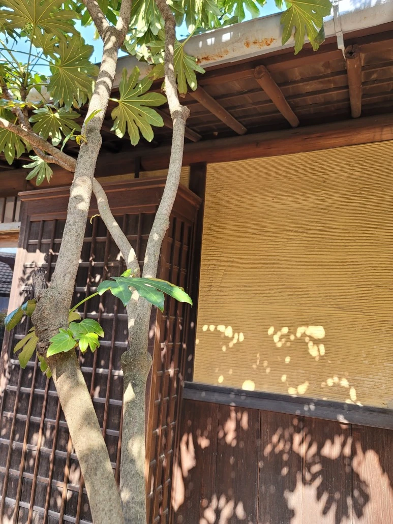 20240316_103327.jpg?type=w773