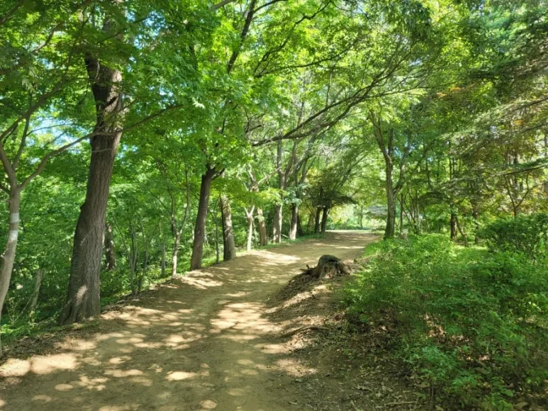 20240531%EF%BC%BF153601.jpg?type=w773