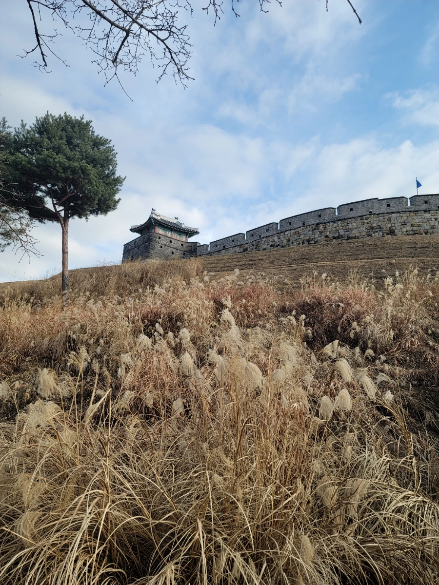 20240119%EF%BC%BF152429.jpg?type=w1