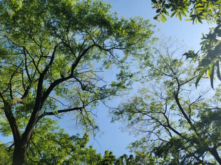 20240531%EF%BC%BF160815.jpg?type=w773