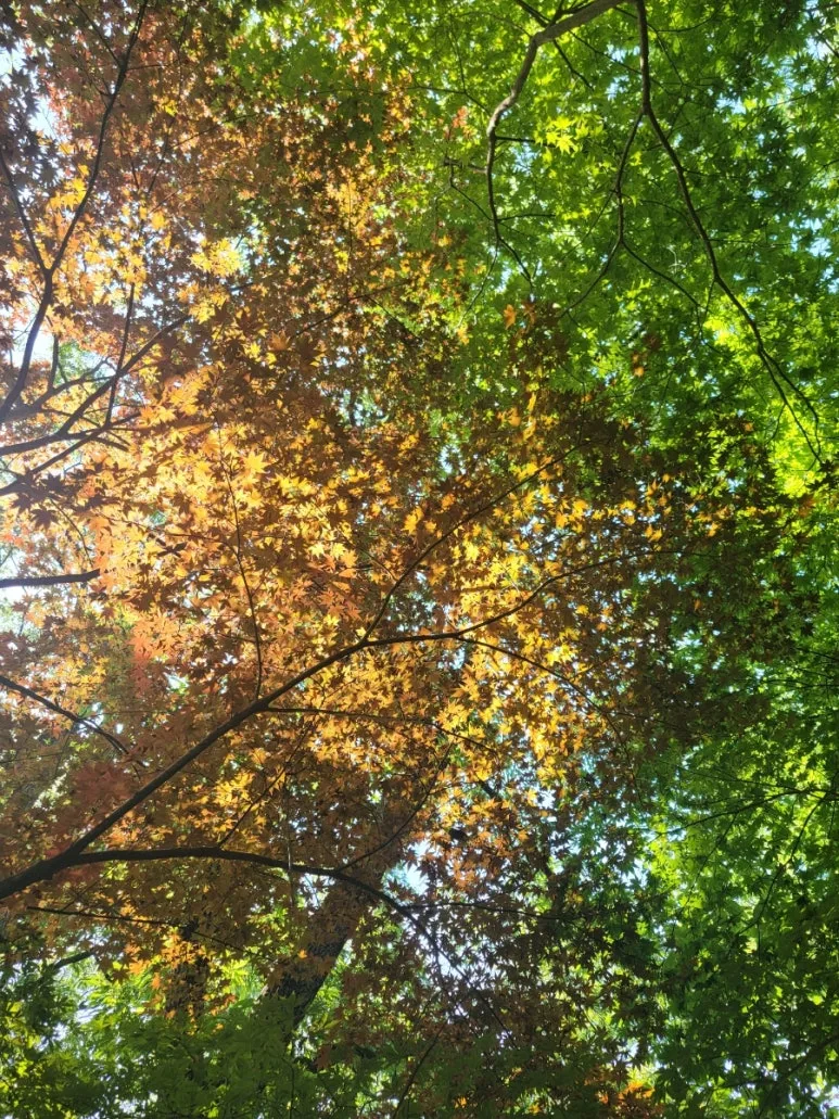 20240531%EF%BC%BF154238.jpg?type=w773