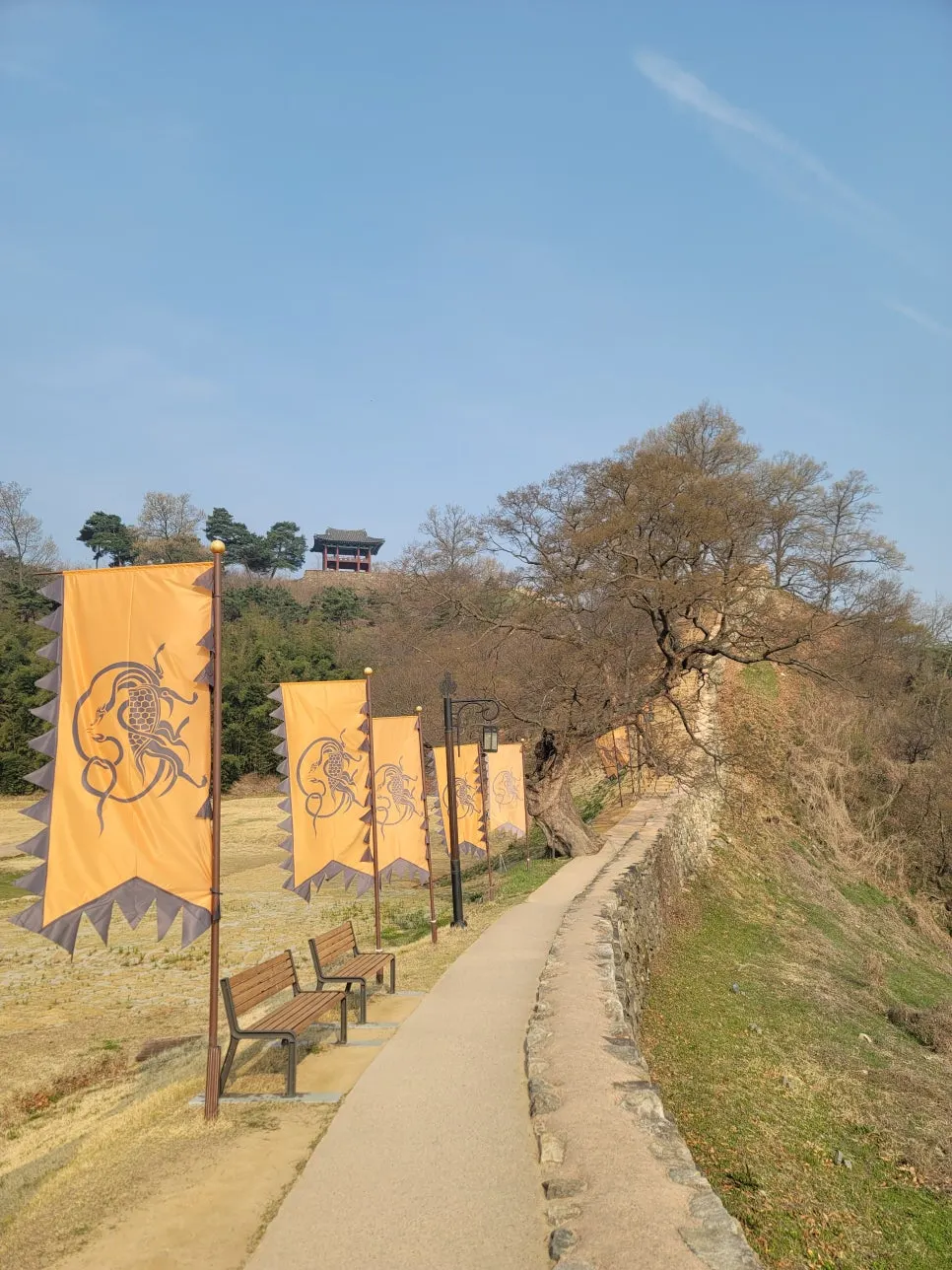 20250404%EF%BC%BF085017.jpg?type=w966