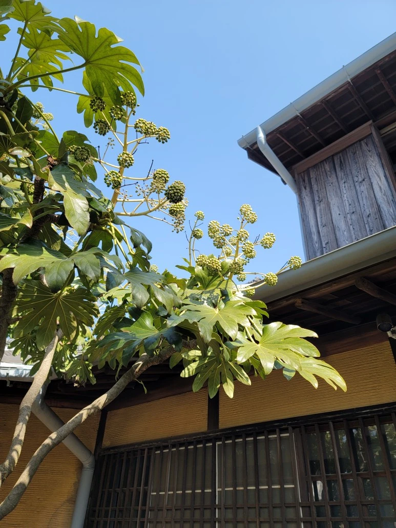 20240316_103307.jpg?type=w773