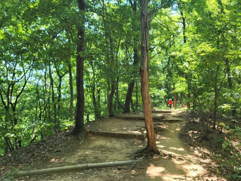 20240602%EF%BC%BF114003.jpg?type=w773