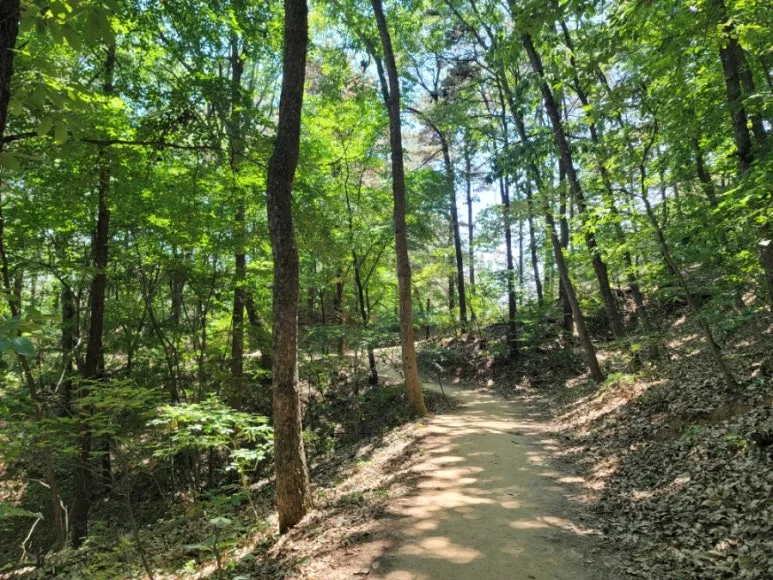 20240602%EF%BC%BF122419.jpg?type=w773