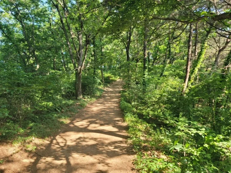 20240531%EF%BC%BF163012.jpg?type=w773