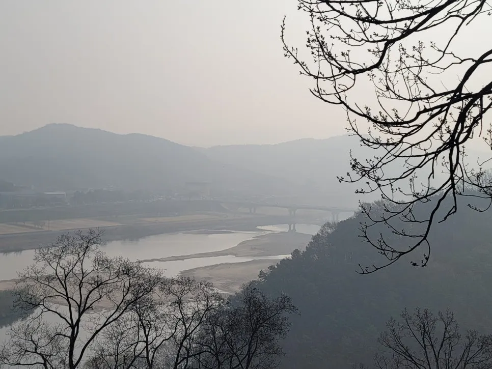 20250404%EF%BC%BF083032.jpg?type=w966