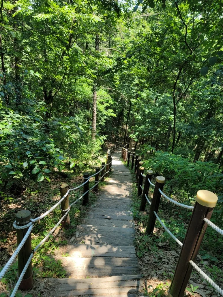 20240602%EF%BC%BF122245.jpg?type=w773