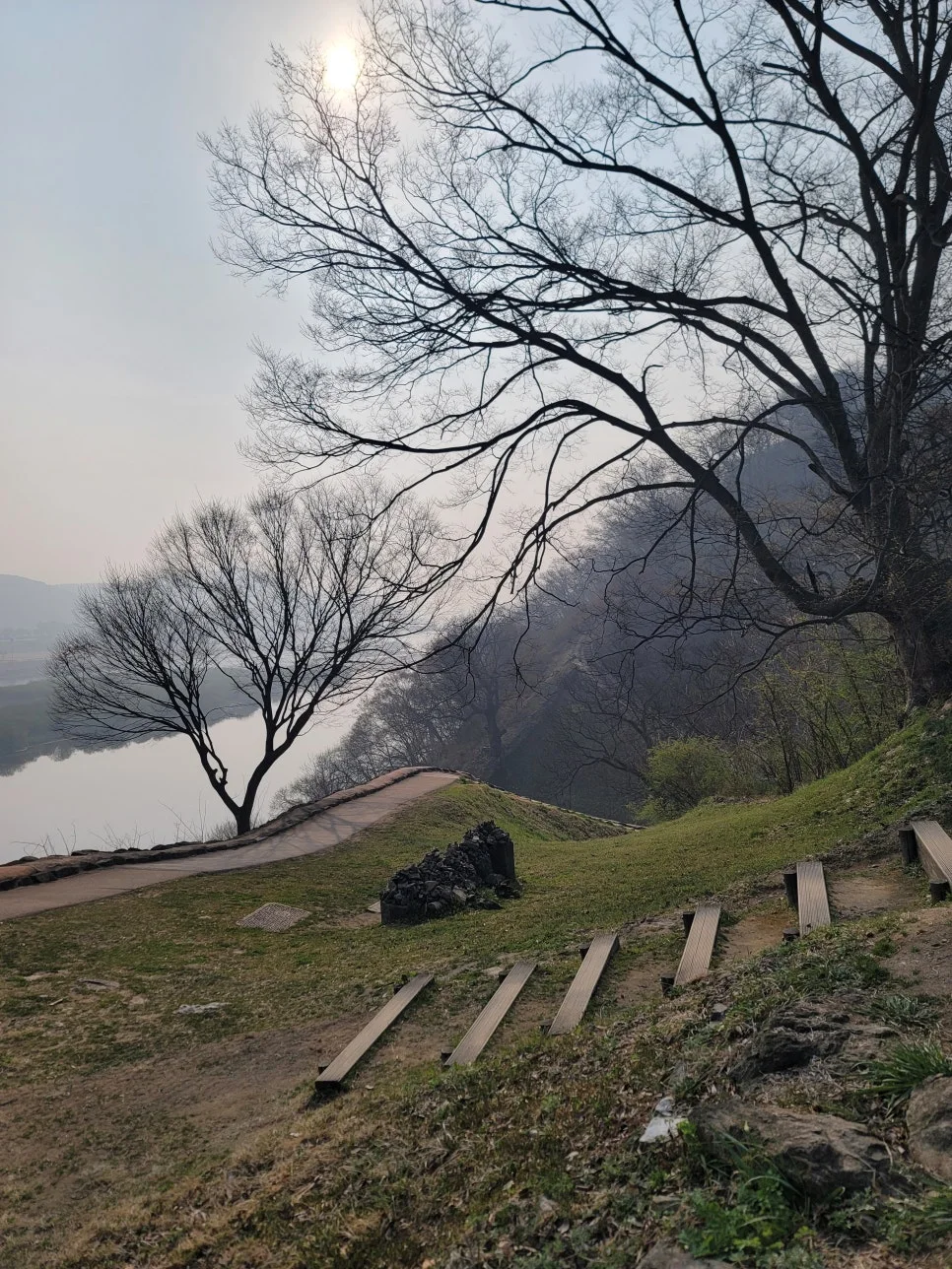 20250404%EF%BC%BF084544.jpg?type=w966