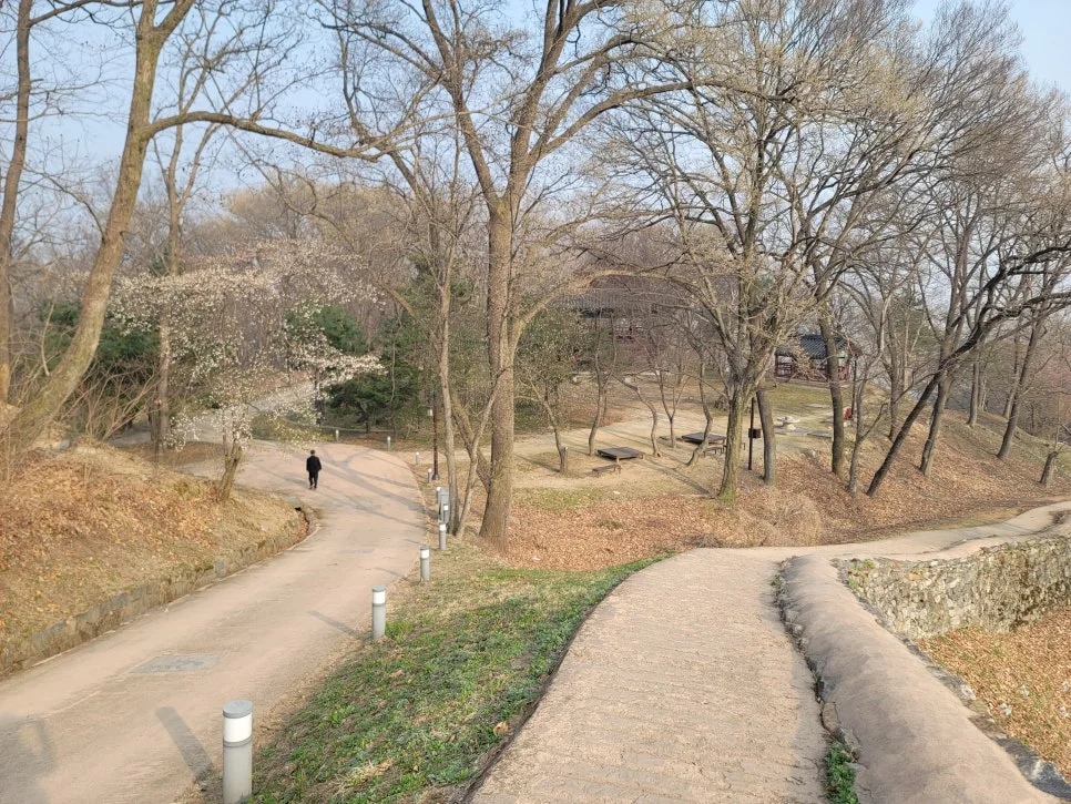 20250404%EF%BC%BF082755.jpg?type=w966