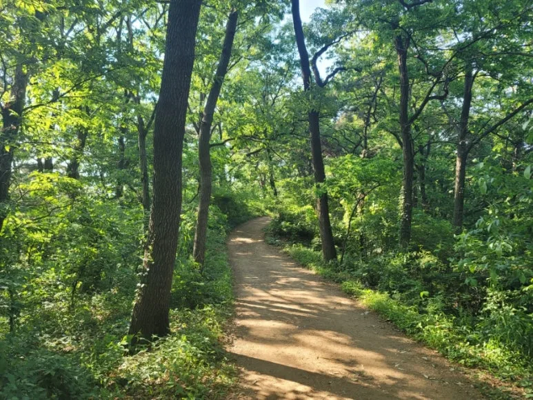 20240531%EF%BC%BF164518.jpg?type=w773