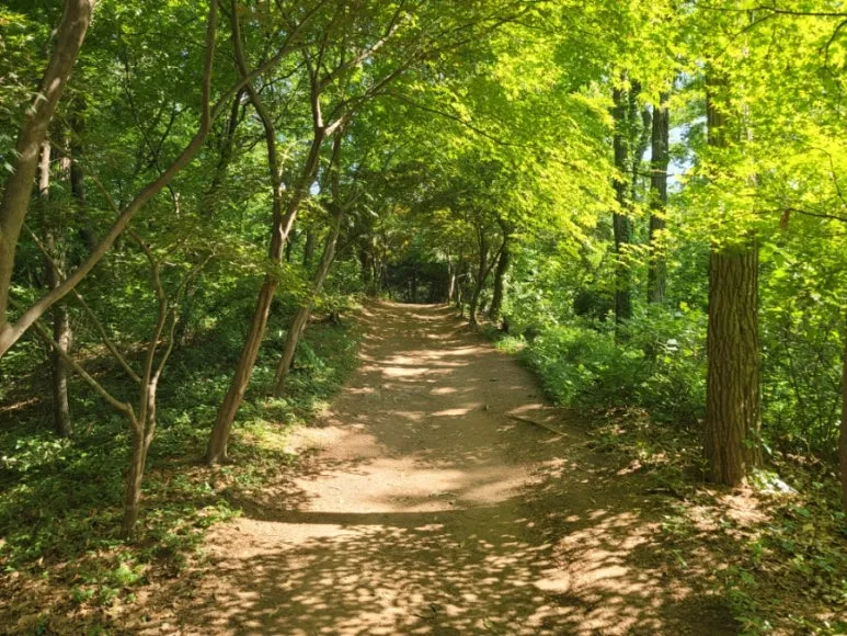 20240531%EF%BC%BF154351.jpg?type=w773