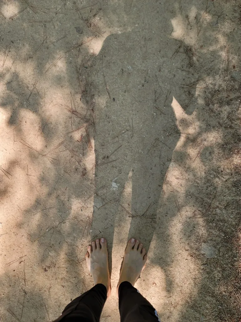 20240602%EF%BC%BF094016.jpg?type=w773