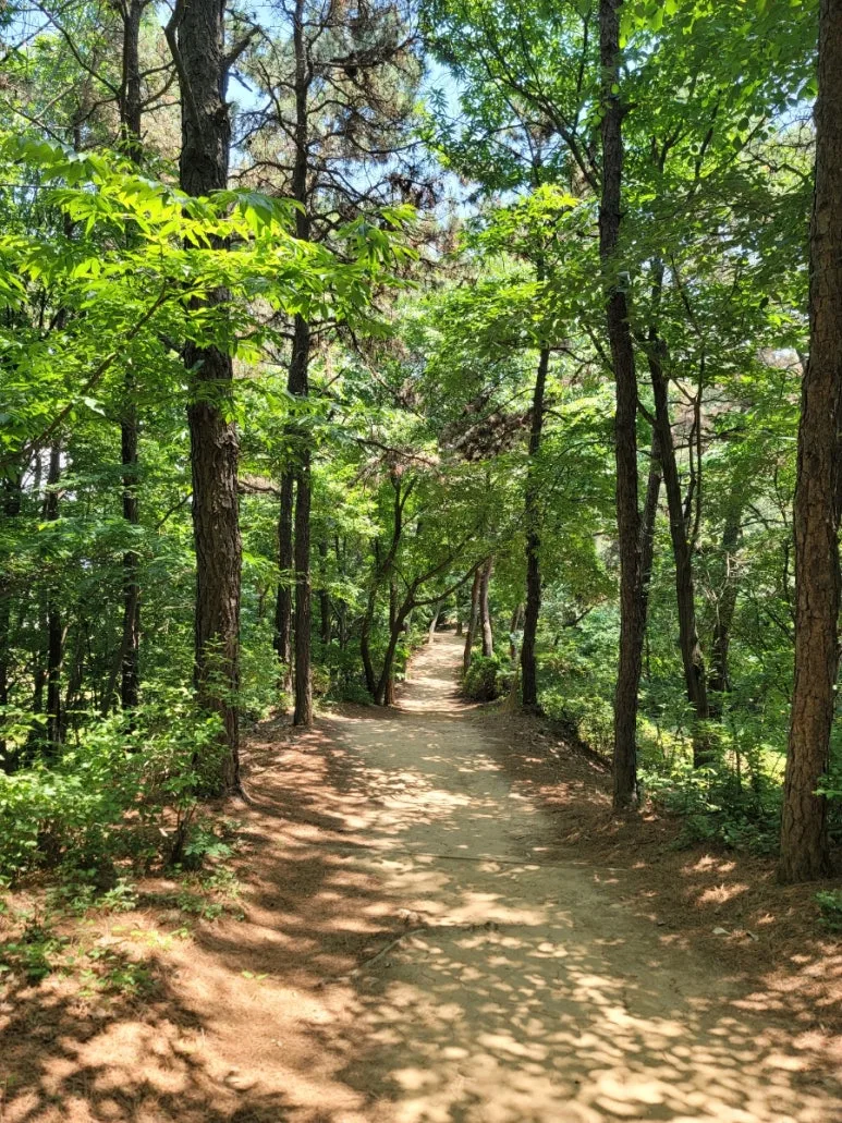 20240602%EF%BC%BF122547.jpg?type=w773