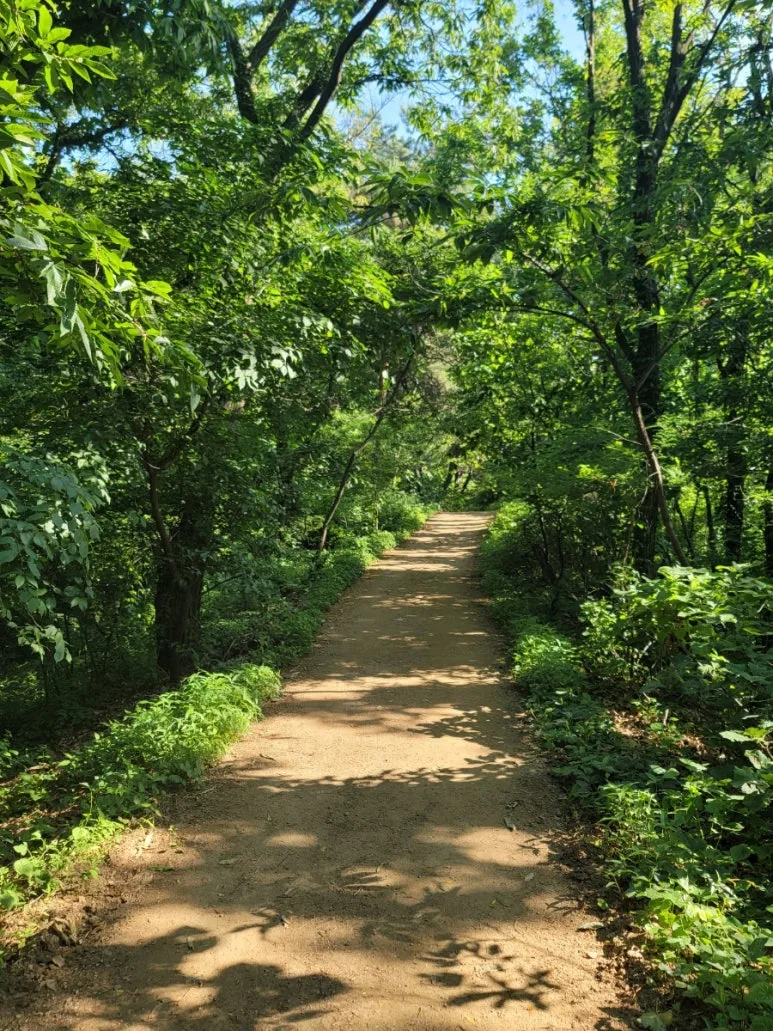 20240531%EF%BC%BF163758.jpg?type=w773