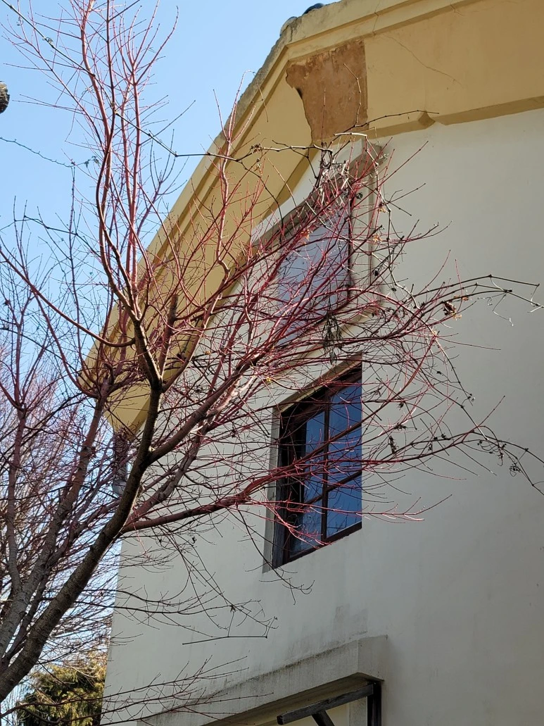 20240316_103444.jpg?type=w773