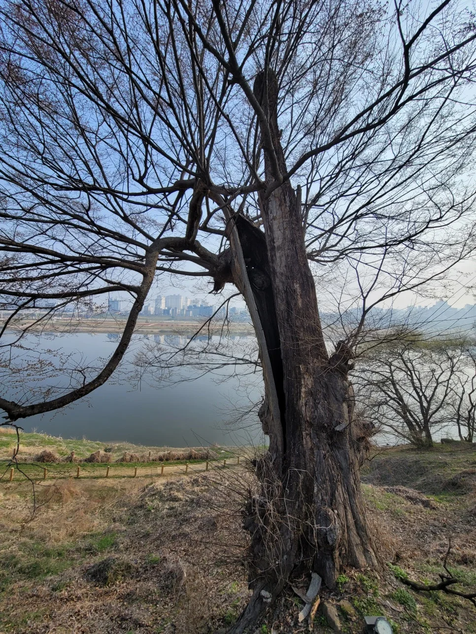 20250404%EF%BC%BF084832.jpg?type=w966