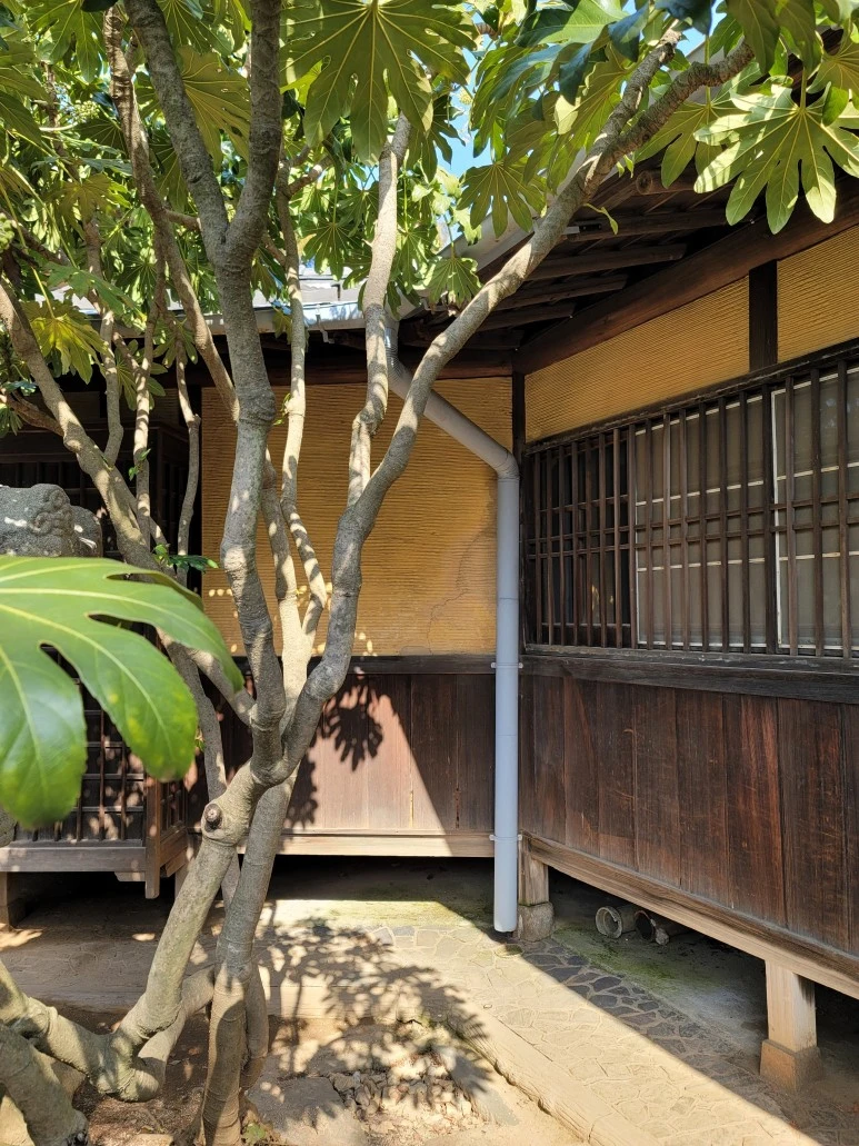 20240316_103303.jpg?type=w773