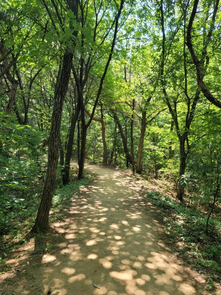 20240602%EF%BC%BF103914.jpg?type=w773