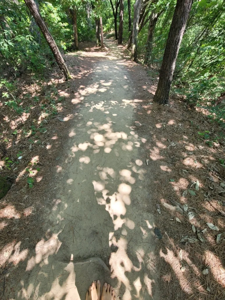 20240602%EF%BC%BF104305.jpg?type=w773