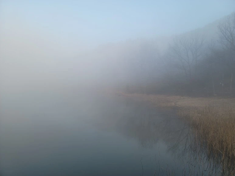 20240316_072855.jpg?type=w773