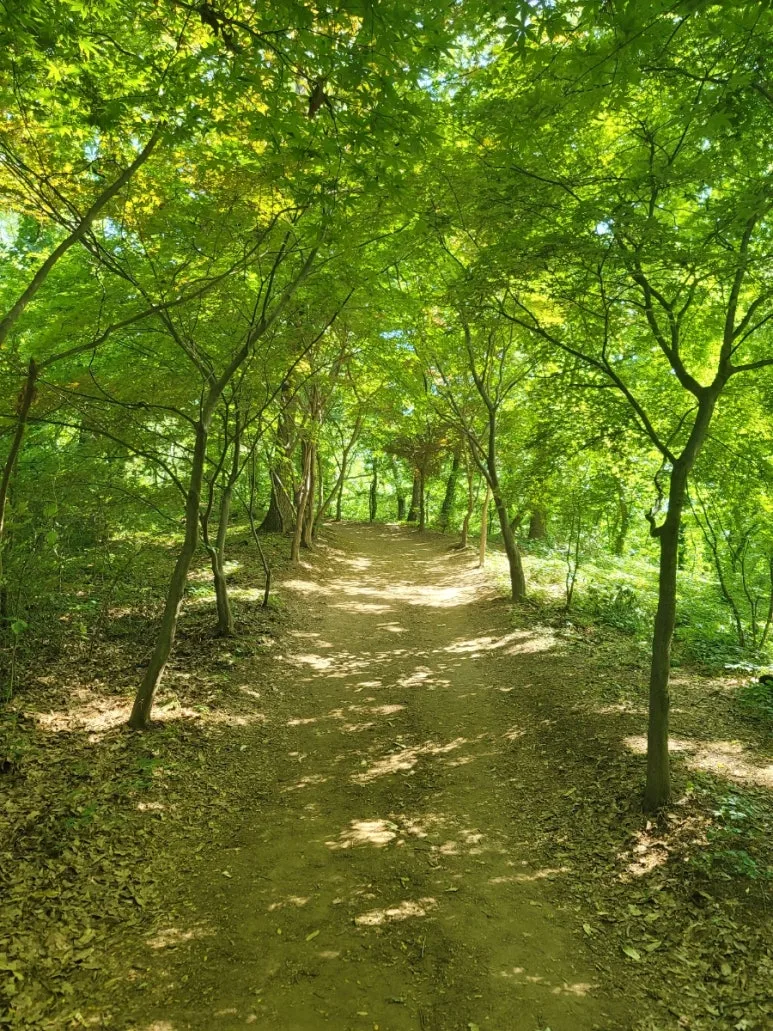 20240531%EF%BC%BF154012.jpg?type=w773