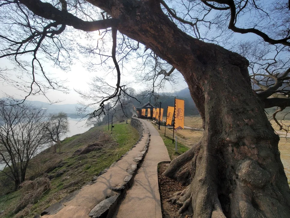 20250404%EF%BC%BF085124.jpg?type=w966