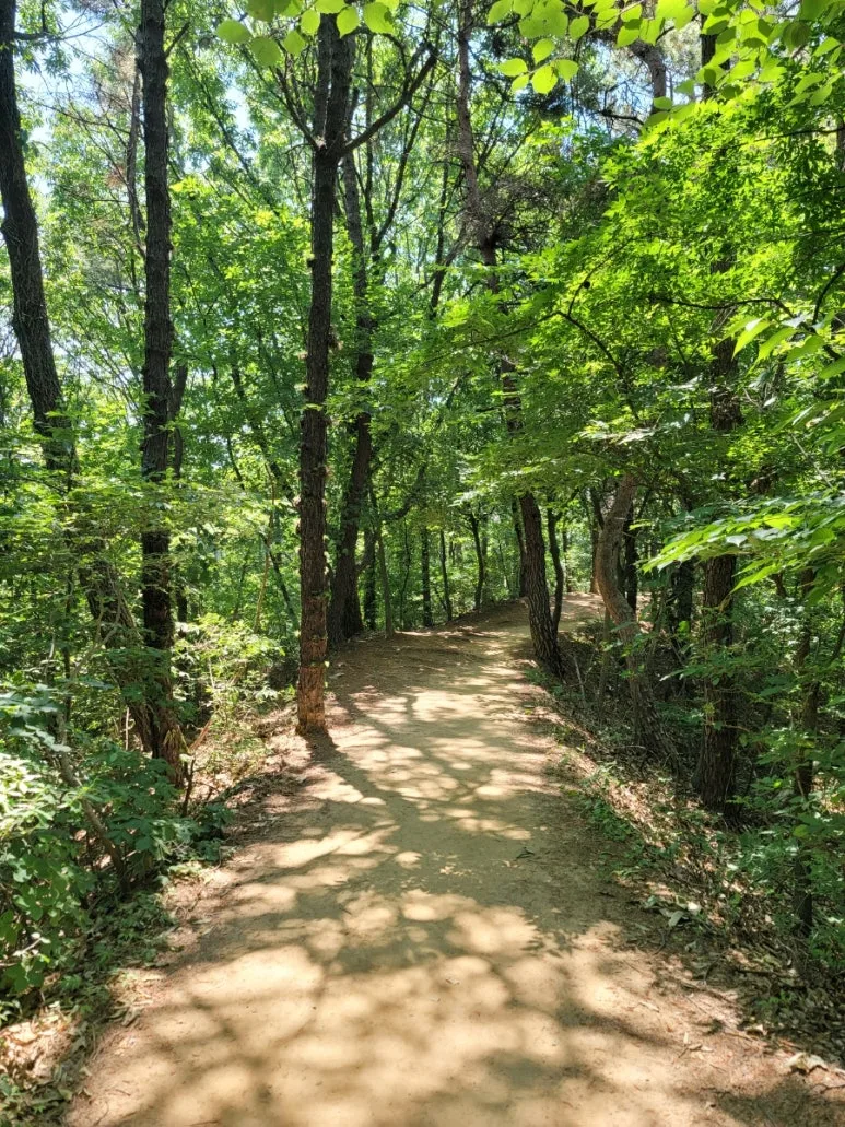 20240602%EF%BC%BF110719.jpg?type=w773