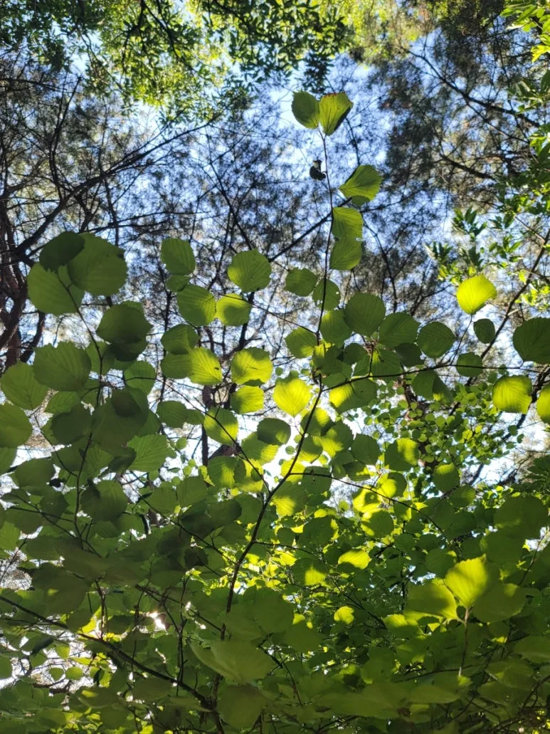 20240531%EF%BC%BF155329.jpg?type=w773