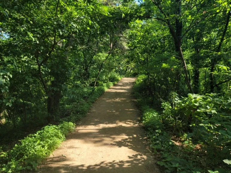 20240531%EF%BC%BF163806.jpg?type=w773