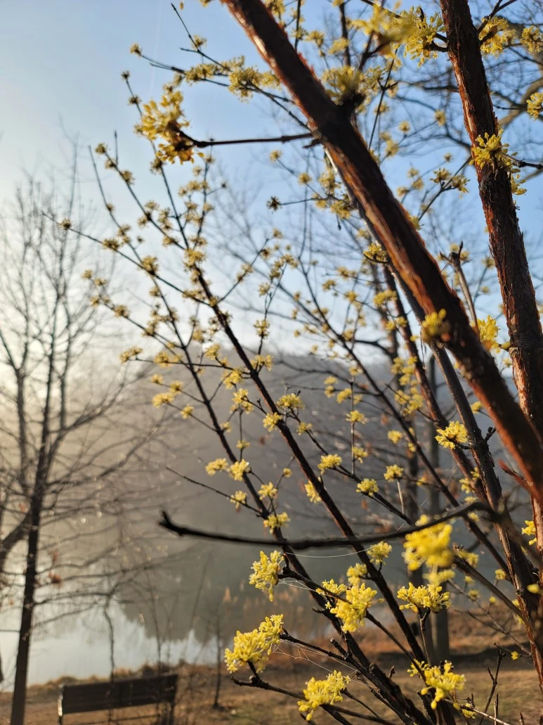 20240316_075434.jpg?type=w773